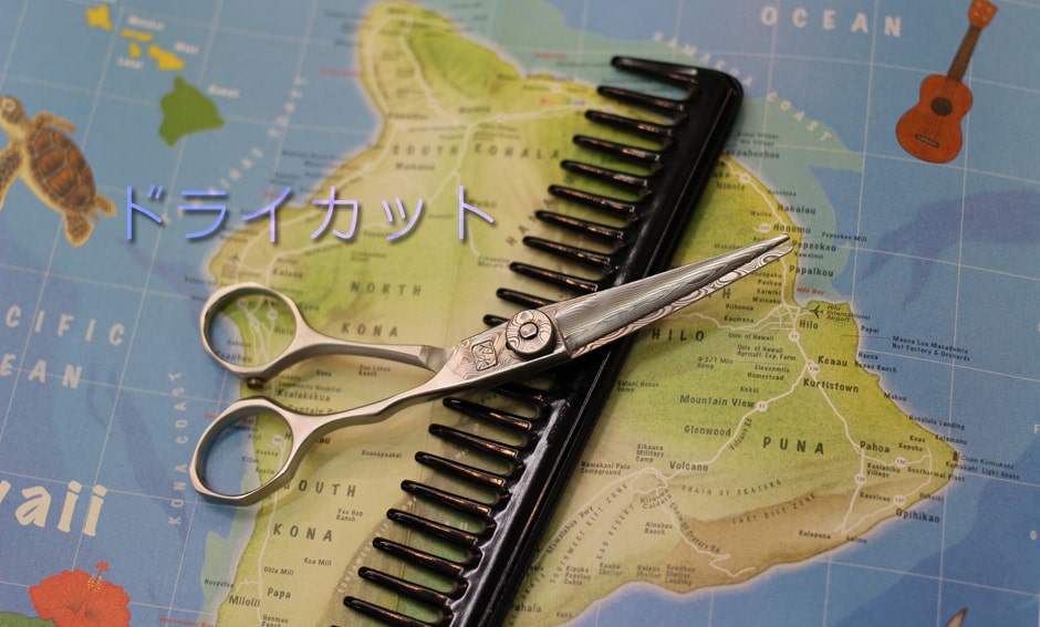 横浜駅から徒歩8分の美容院kokua hairdesign(コクアヘアデザイン)ドライカット